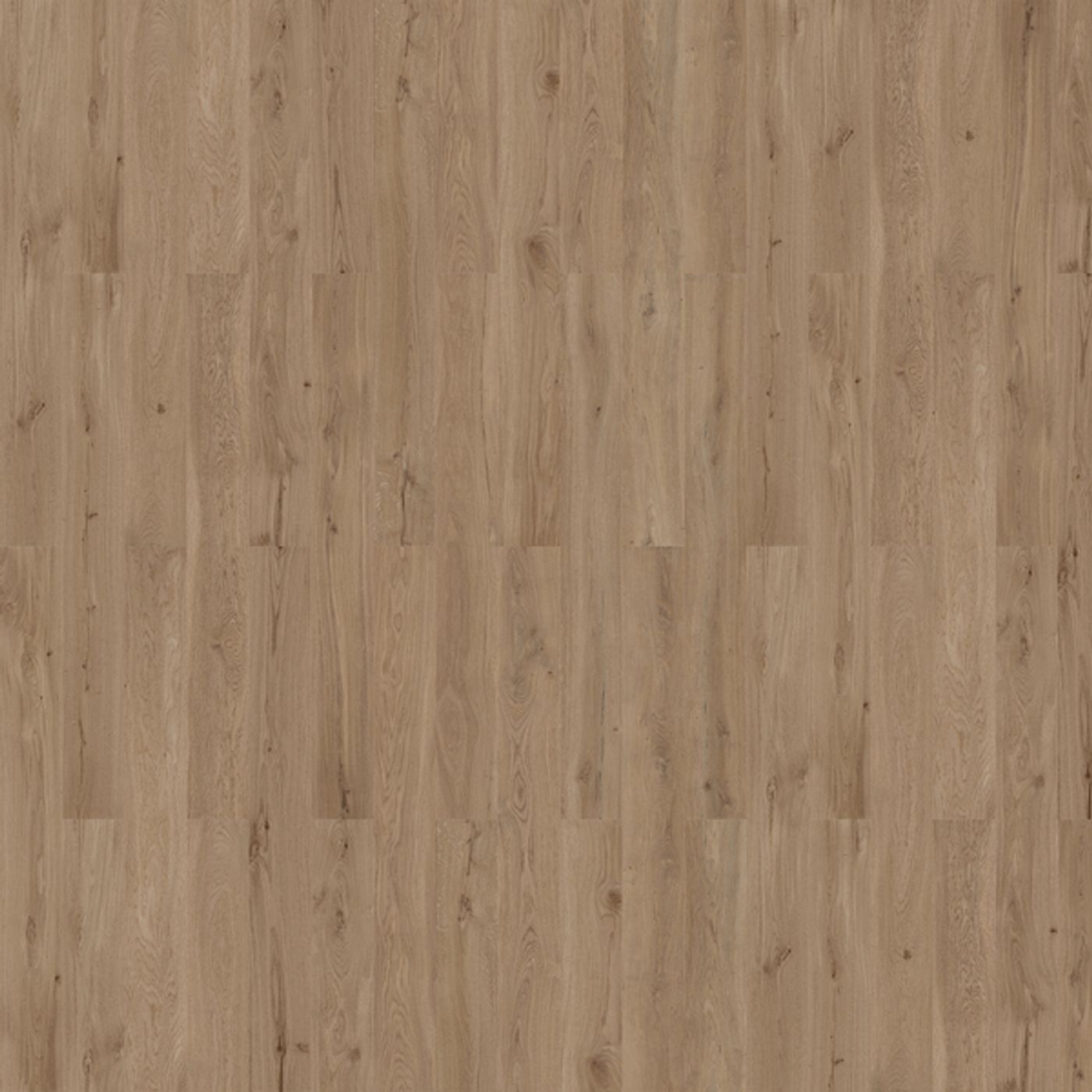 Korkgulv Wicanders Natural XL - Dakota Oak