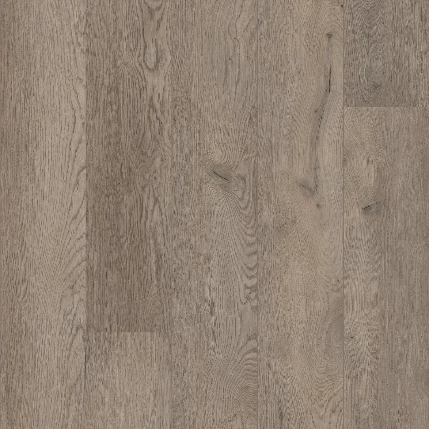Korkvinyl COREtec XL-END Belvoir