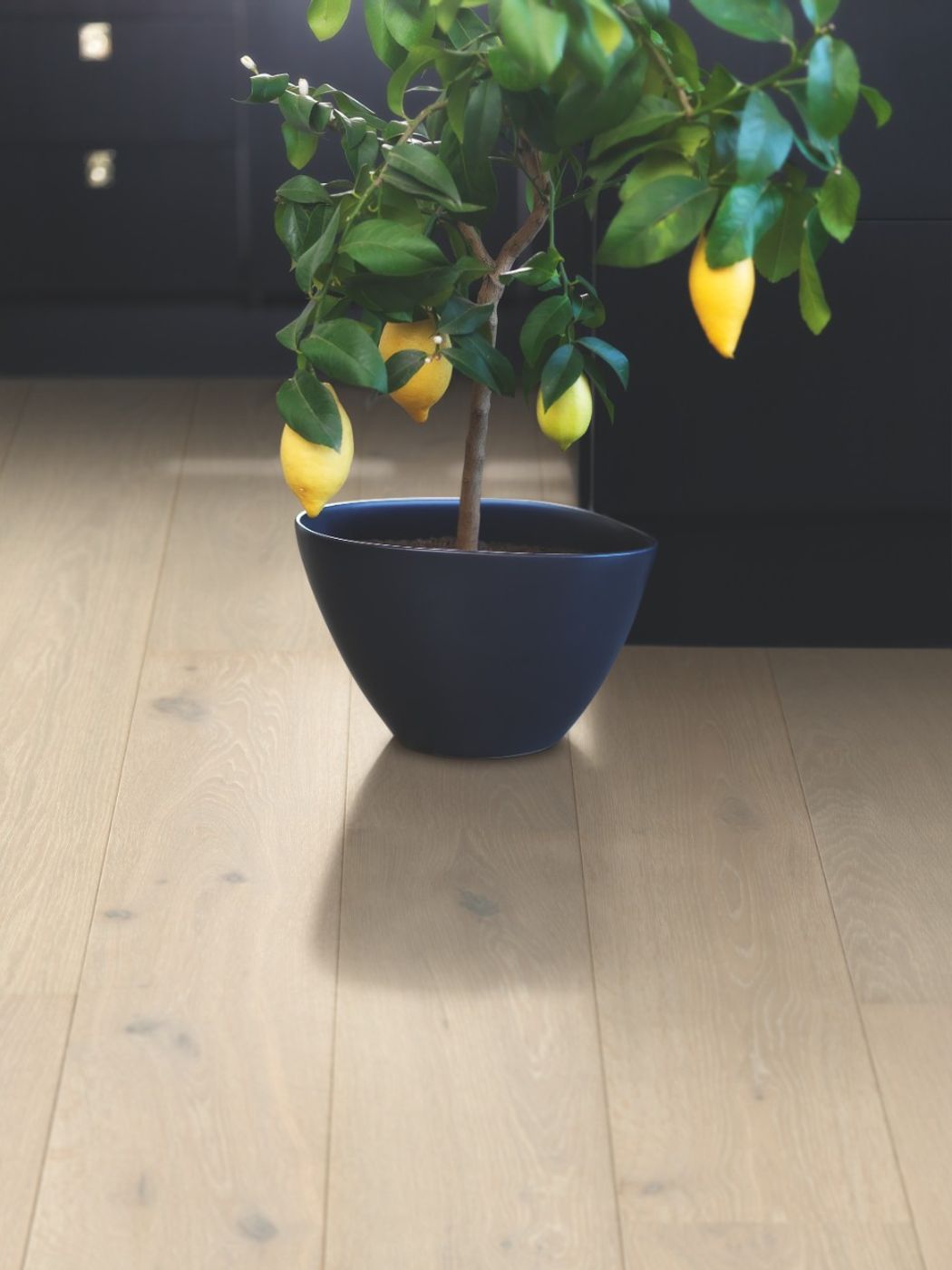 Parkett Pergo Lofoten - Arctic Oak